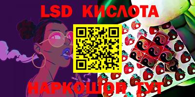 ГАЛЛЮЦИНОГЕННЫЕ ГРИБЫ Будённовск