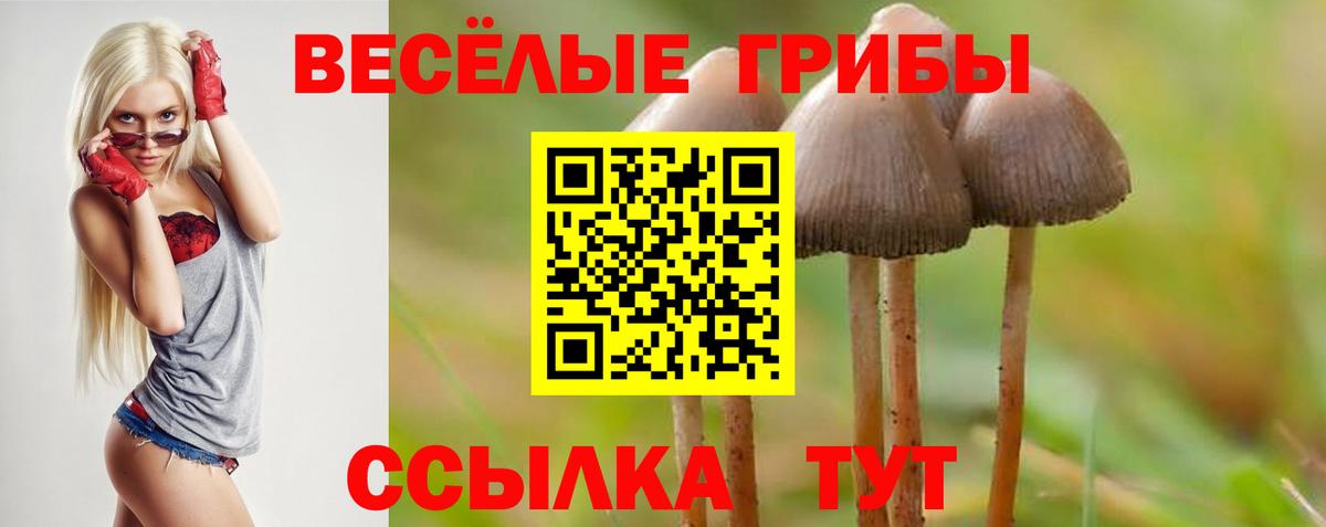 Галлюциногенные грибы Magic Shrooms  Вход с VPN  Омск  Галлюциногенные грибы мицелий 